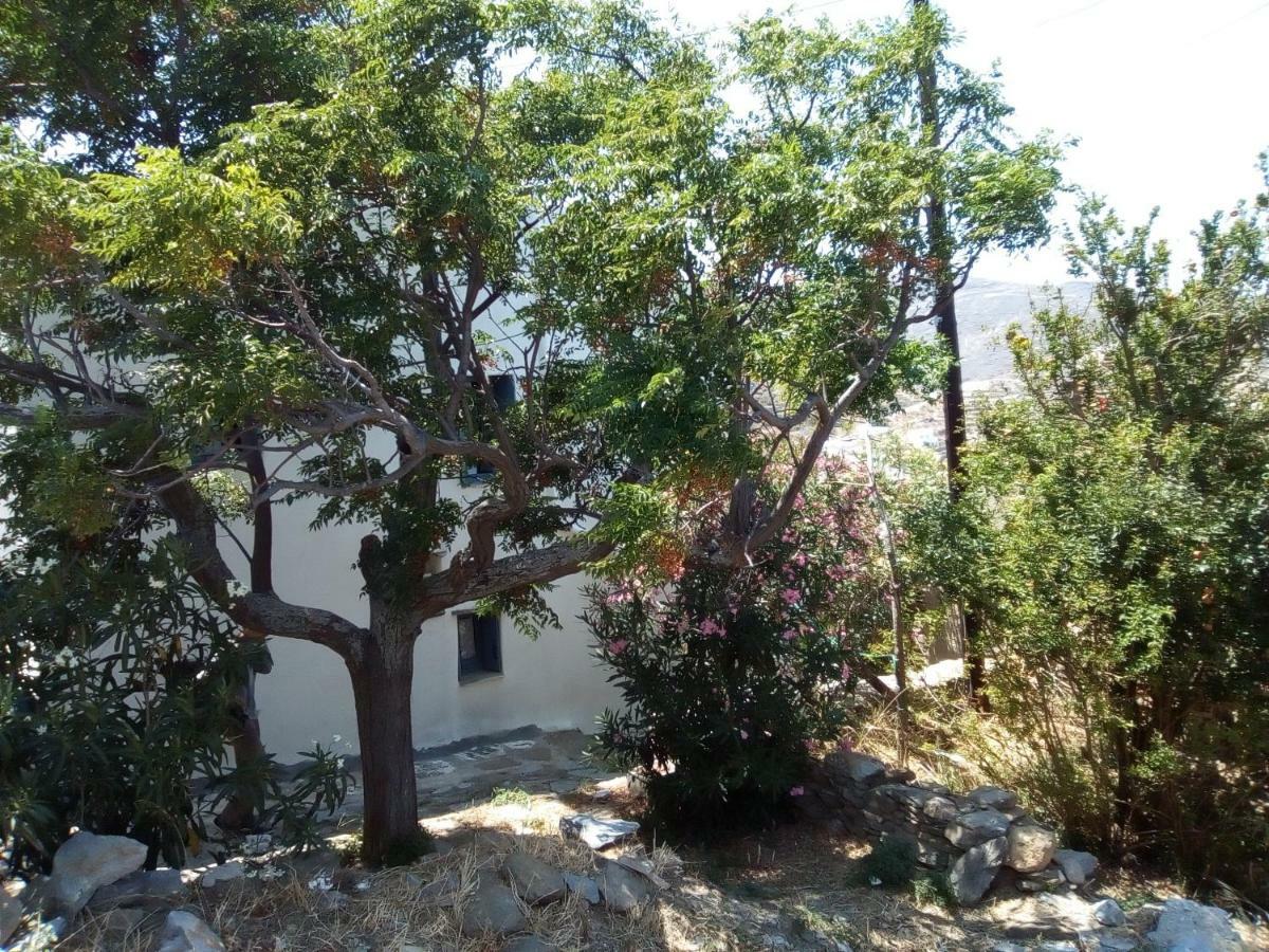 Arthome1 Panormos  Exterior photo